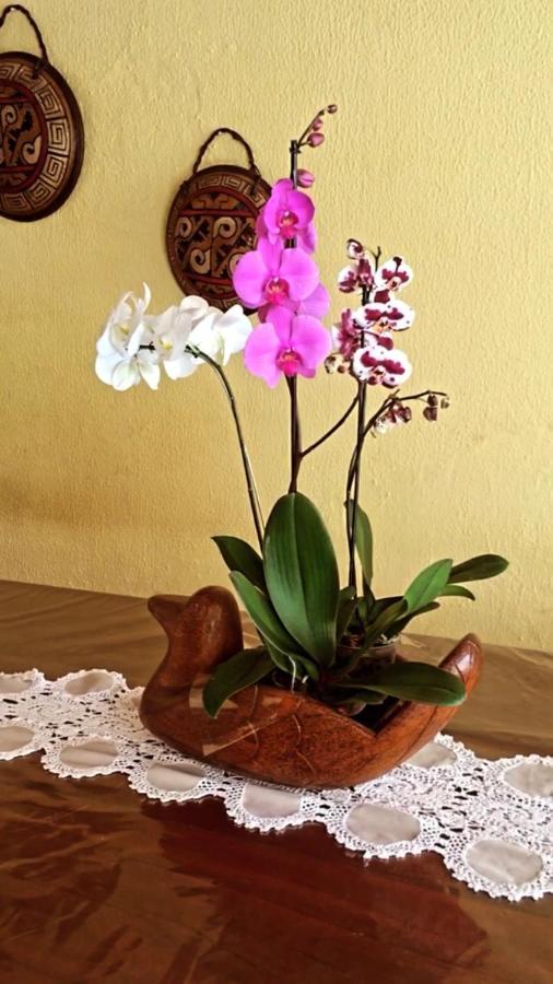 Casamar Maragogi Residence 外观 照片
